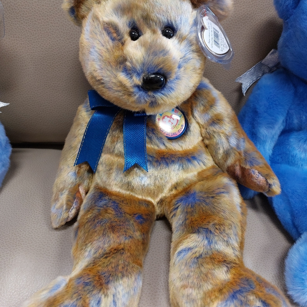 Ty Ty Beanie Babies Bear Official Club 2000 Clubby III Brown Blue 14" Tall